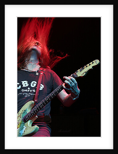 Alice in Chains by Karen Toftera